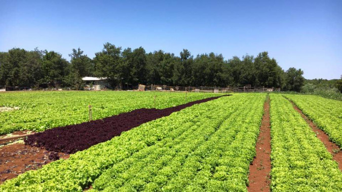 Fotogalerija, Filius d.o.o. Poreč