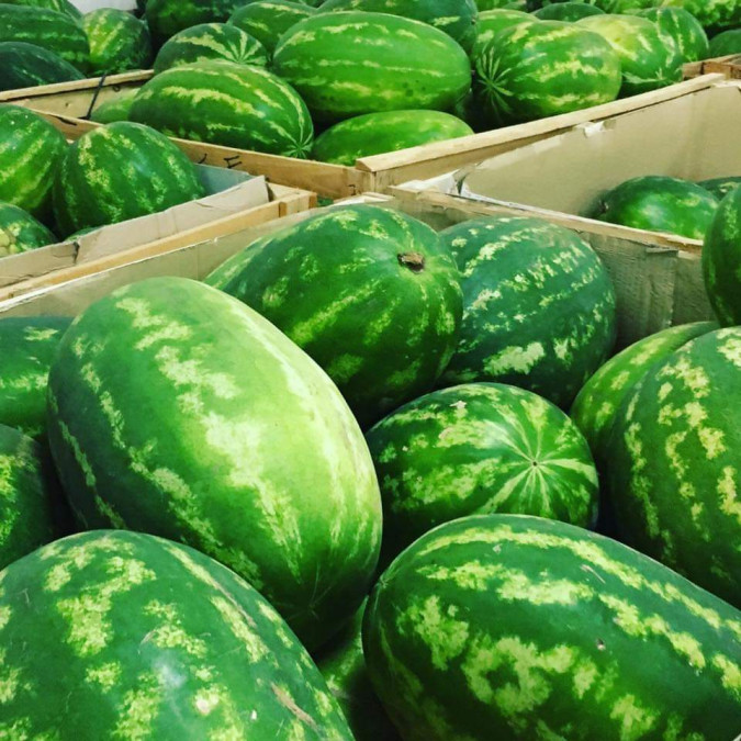 Fotogalerija, Filius d.o.o. Poreč