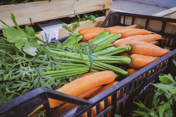 Fotogalerija, Filius d.o.o. Poreč