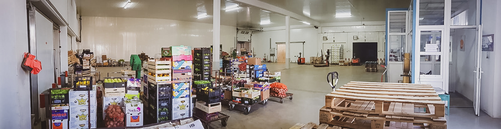 Filius d.o.o. Poreč